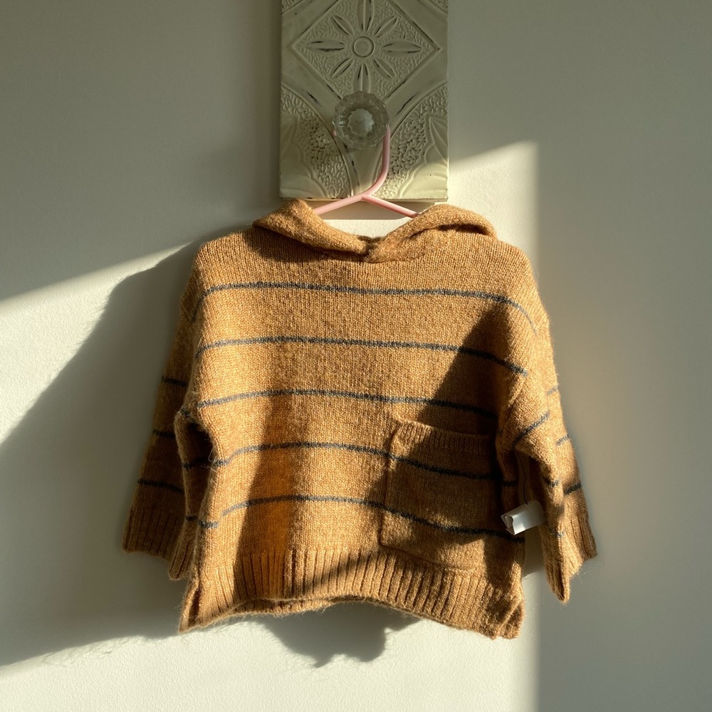 Zara Hooded Sweater